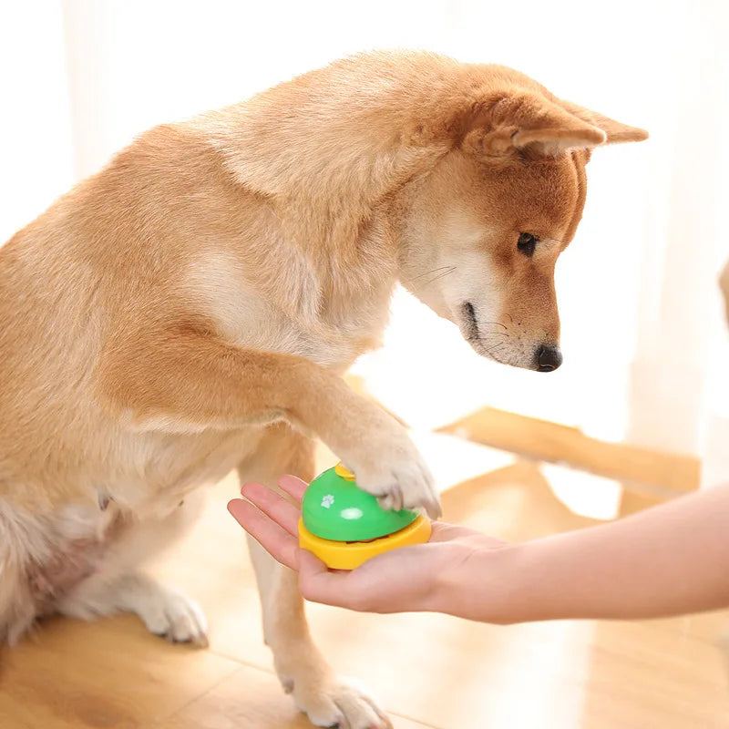 Sino de treinamento para pets